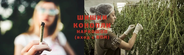 сатива Заволжск