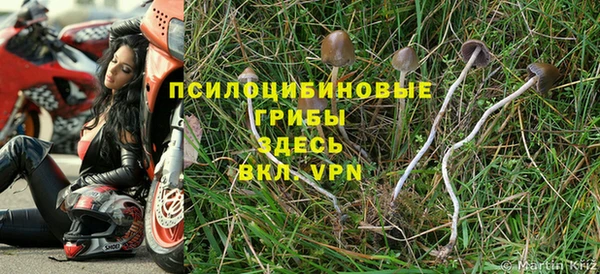 соль курить ск Зеленокумск