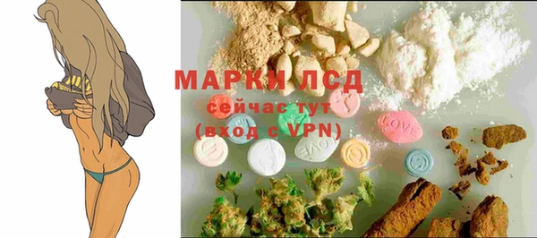 сатива Заволжск