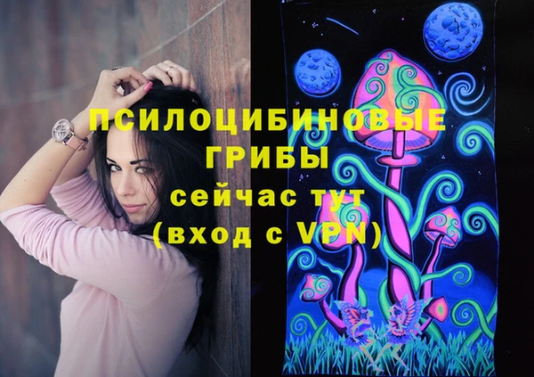 сатива Заволжск